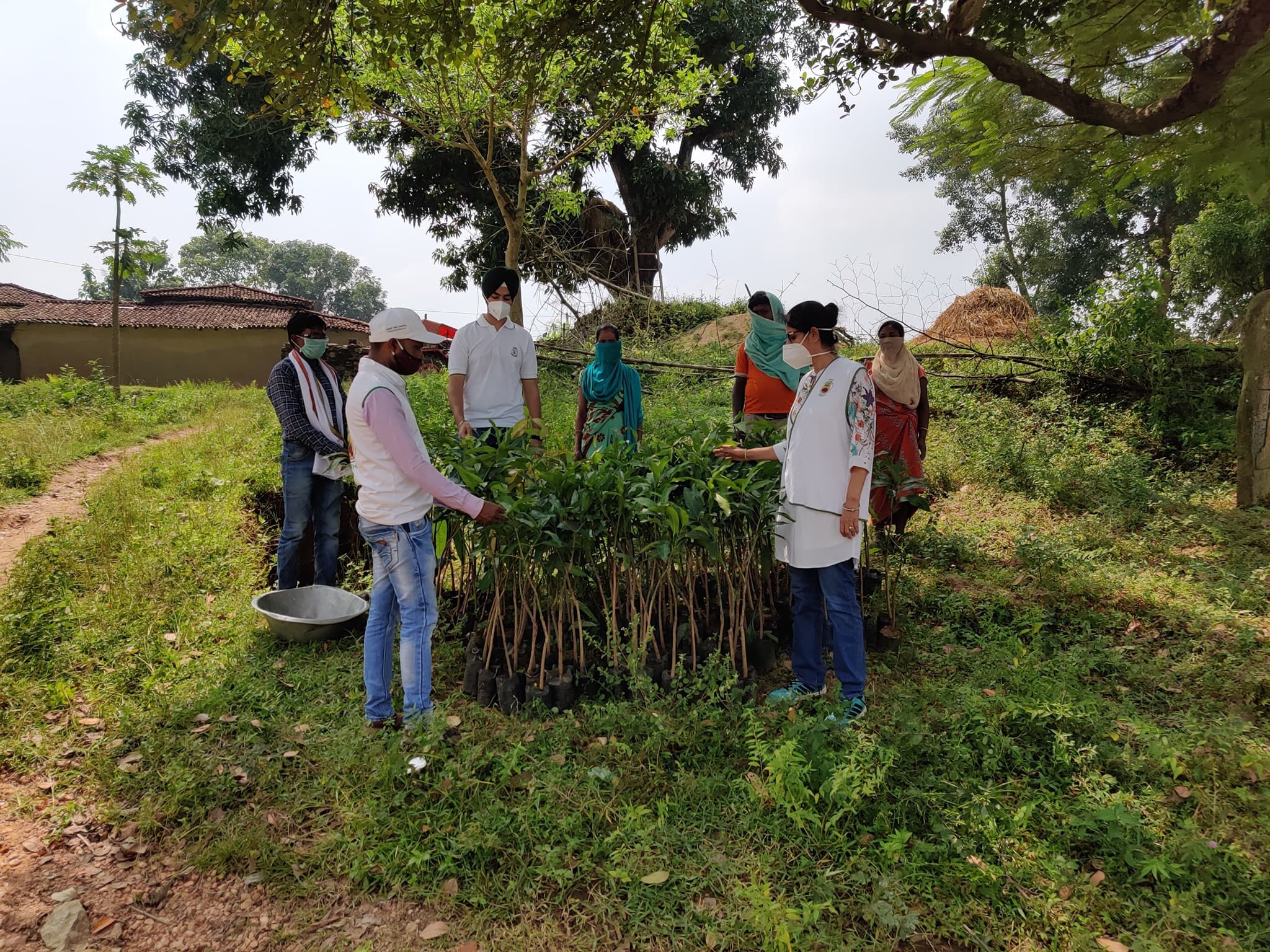 Community Food Forest Initiative (2020) - Image 2