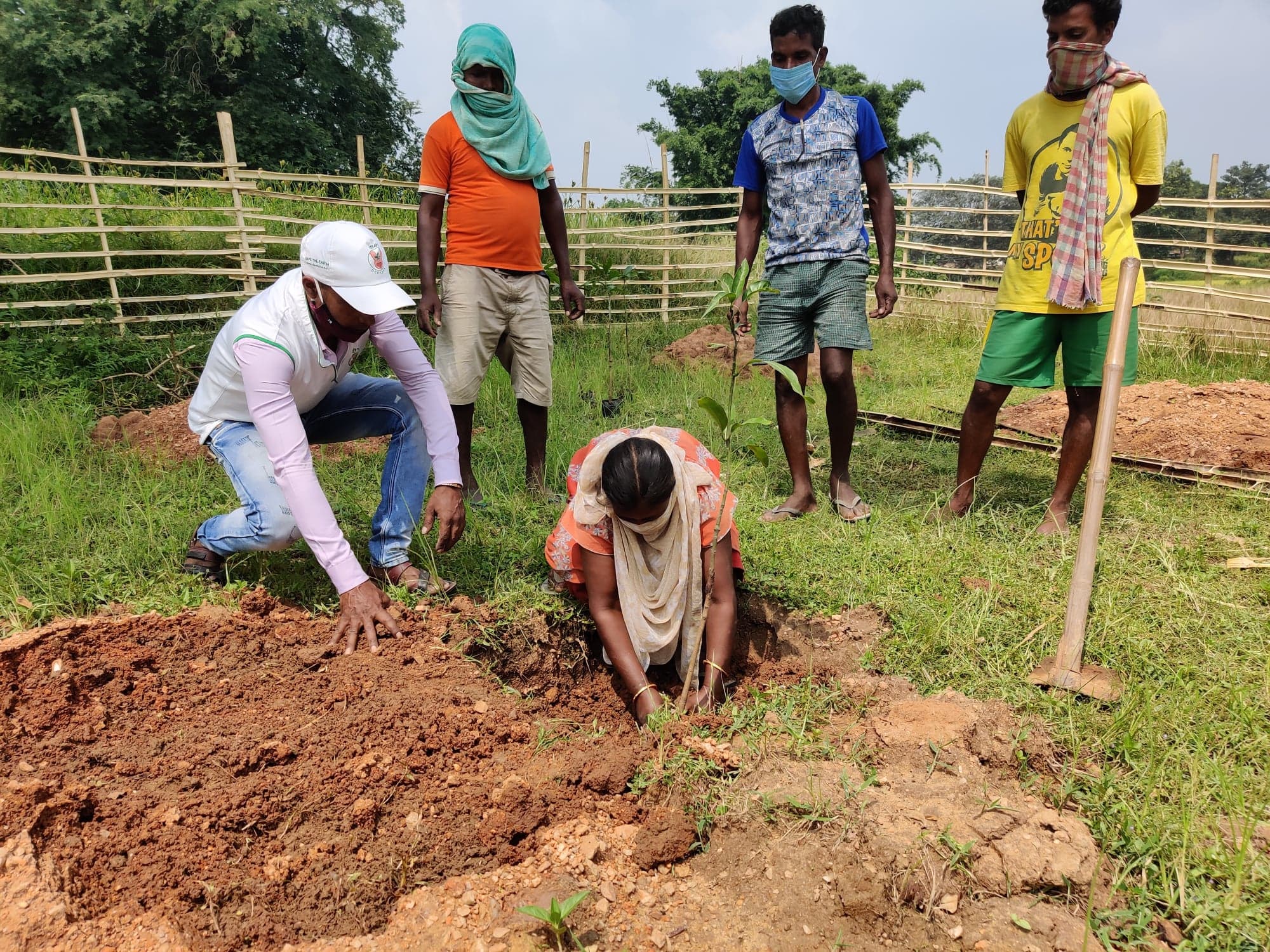 Community Food Forest Initiative (2020) - Image 3