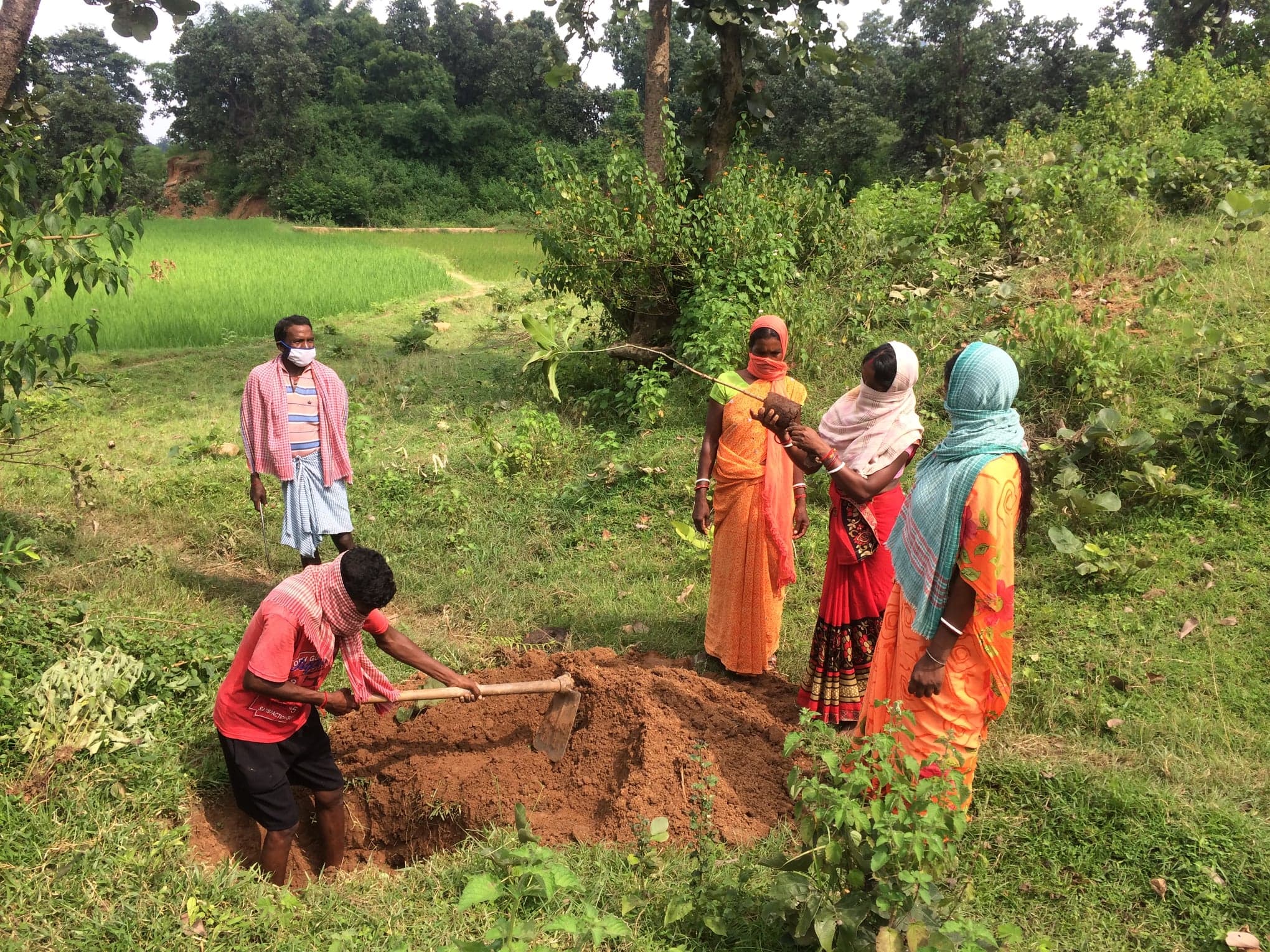 Community Food Forest Initiative (2020) - Image 4