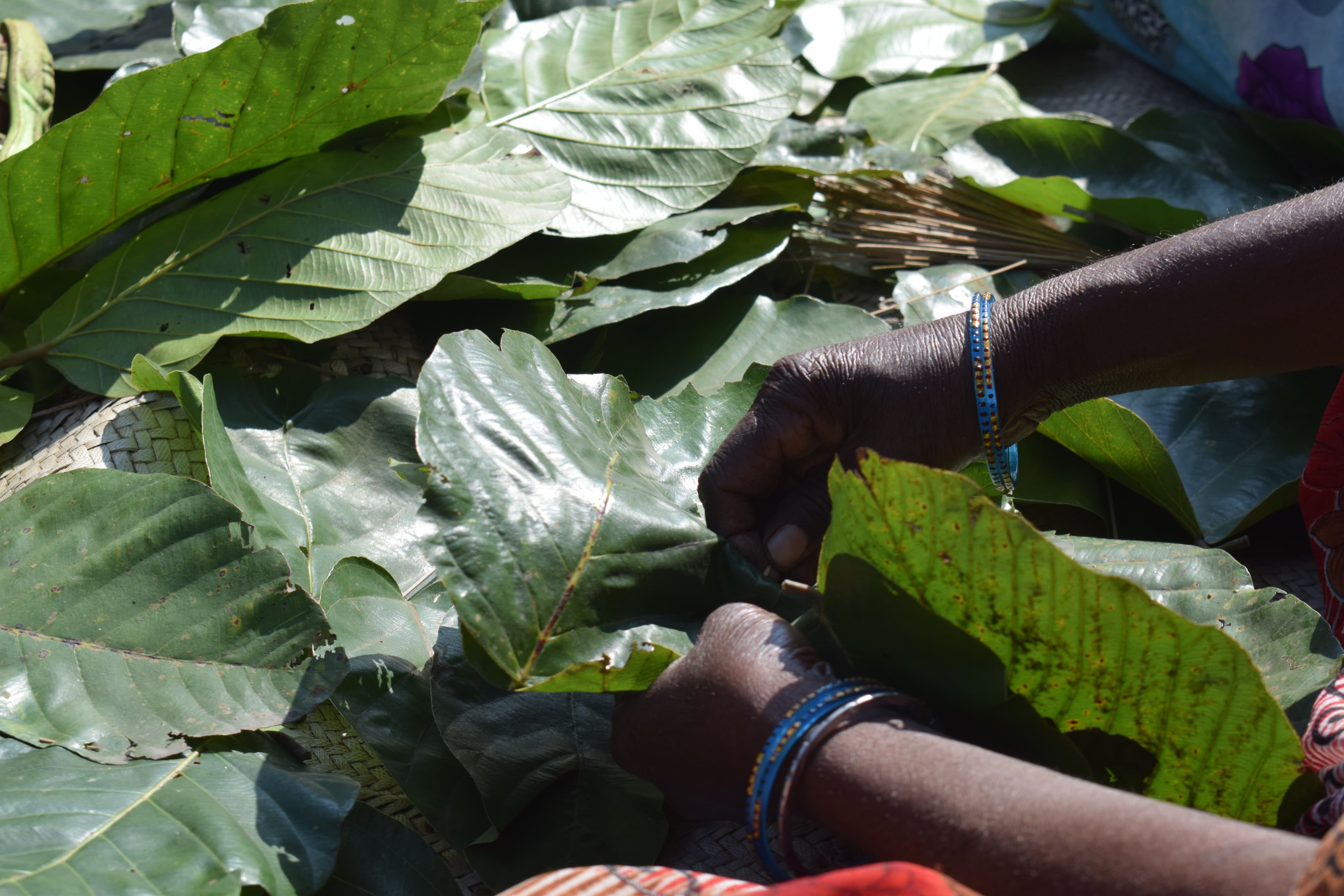 Reviving Tradition, Building Futures: Leaf Plate & Bowl Training Initiative (2022) - Image 3